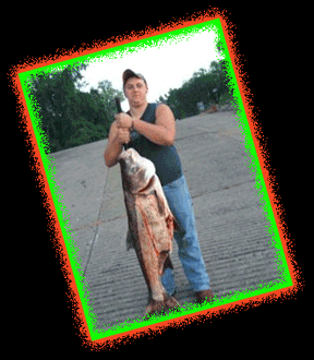 Tennessee Bowfishing
